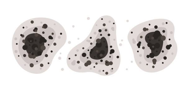 Best Air Quality Testing for Mold Spores  in Victoria, MN