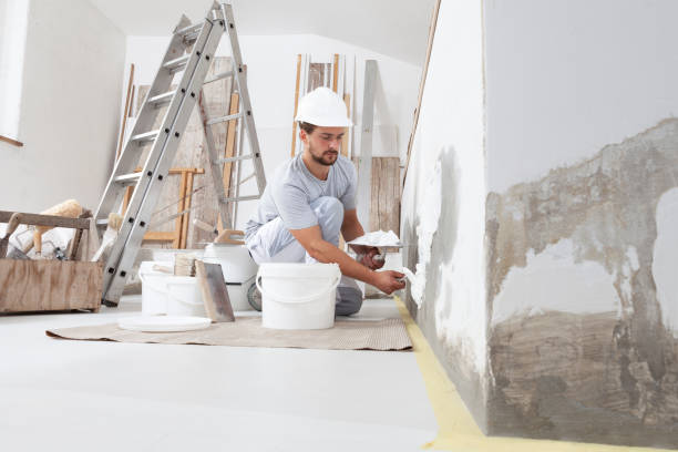 Best Mold Odor Removal Services  in Victoria, MN