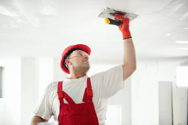 Best Industrial Mold Remediation  in Victoria, MN