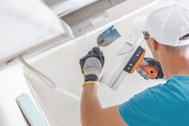 Best Residential Mold Inspection & Testing  in Victoria, MN